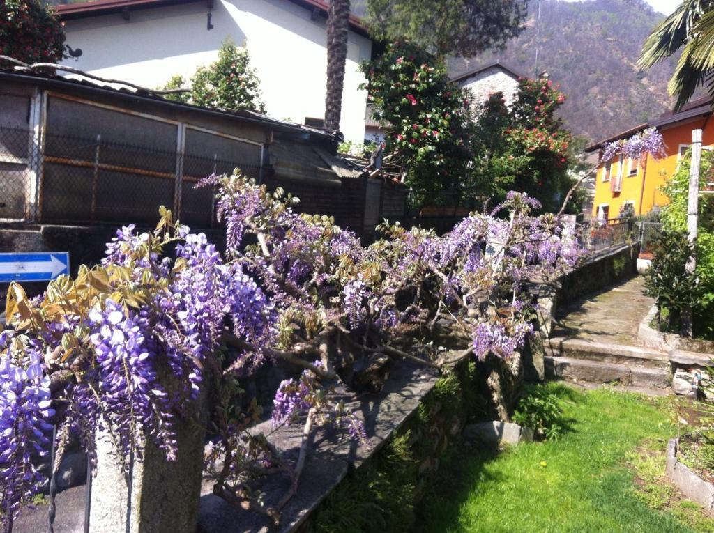 B&B Villa Dei Pini Cannobio Exteriér fotografie