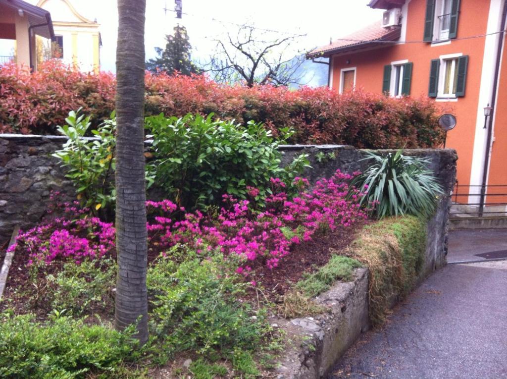 B&B Villa Dei Pini Cannobio Exteriér fotografie