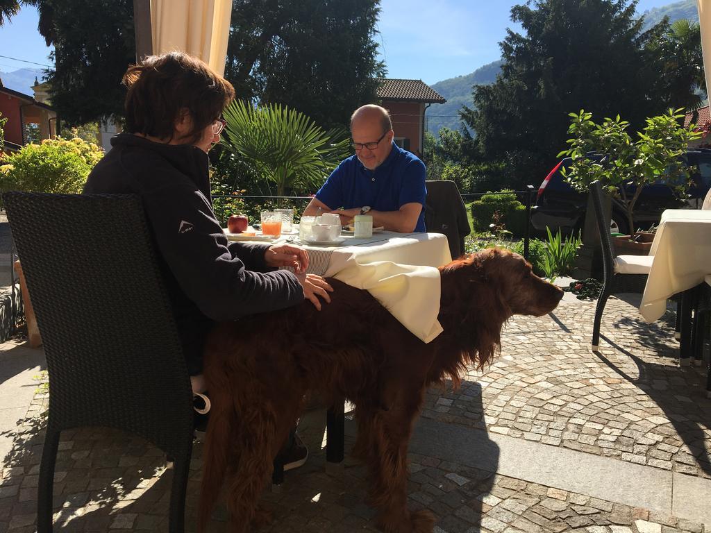 B&B Villa Dei Pini Cannobio Exteriér fotografie