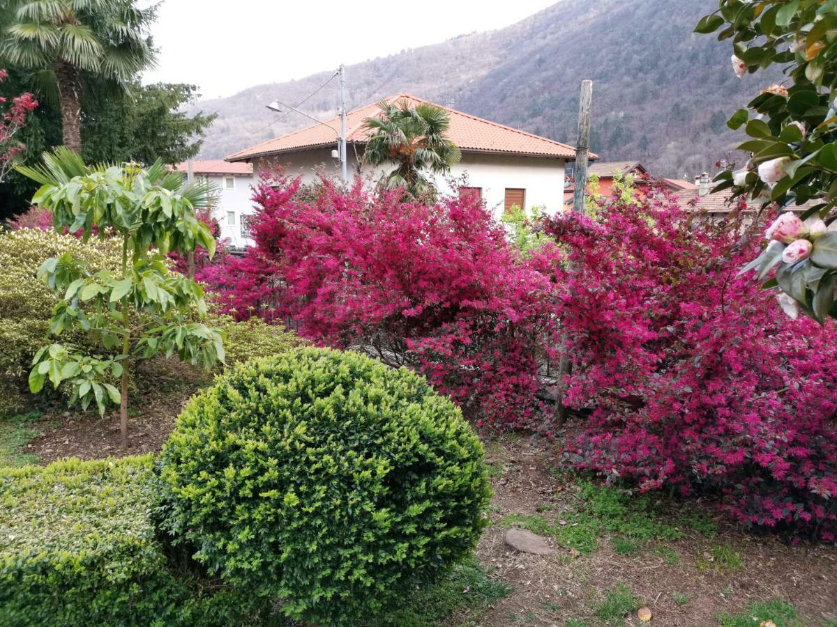 B&B Villa Dei Pini Cannobio Exteriér fotografie